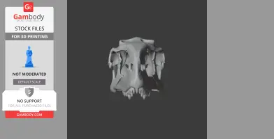 3D model of a Rajasaurus skull replica, showing intricate bone structure from a front view.