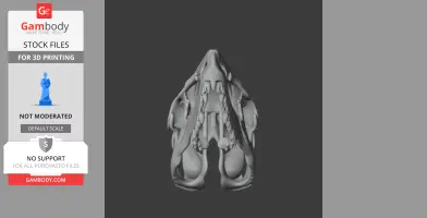 Top view of a 3D printed Rajasaurus skull replica with visible teeth and jaw structure.