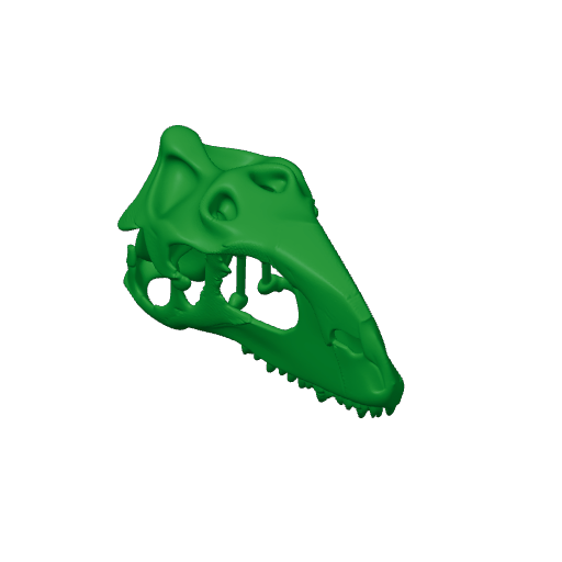 Rajasaurus Skull.3mf