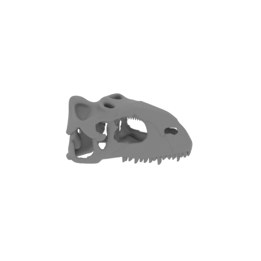 Rajasaurus Skull.stl