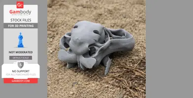 A 3D-printed dodo skull replica on sandy ground.