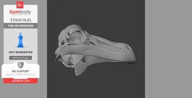 3D model of a dodo skull replica, side view, with detailed bone structure for 3D printing.