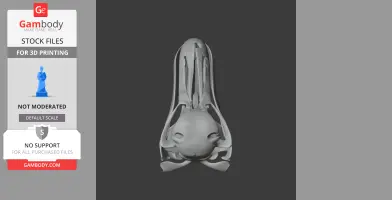 3D model of a Raphus cucullatus (Dodo) skull, viewed from above, designed for 3D printing.