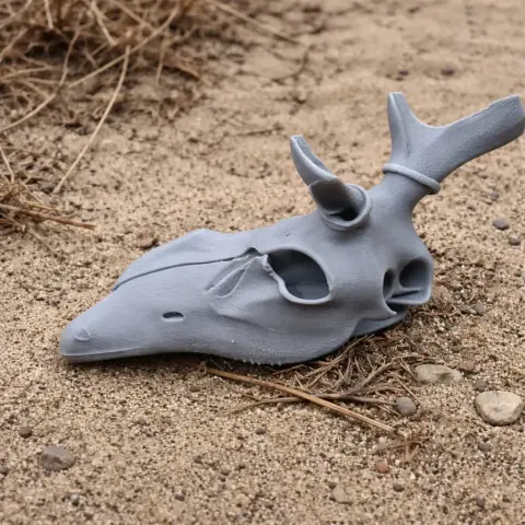 Gray 3D-printed red deer skull replica resting on sand.
