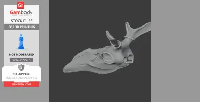 A detailed 3D model of a red deer skull with antlers, suitable for 3D printing.
