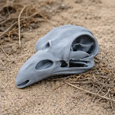 3D-printed Resplendent Quetzal skull replica, detailed and gray, resting on sandy ground.