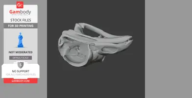 Resplendent Quetzal Skull - Skull Replica STL