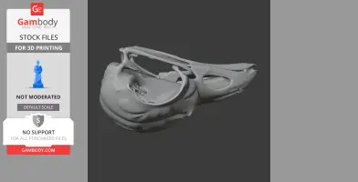 Resplendent Quetzal Skull - Skull Replica STL