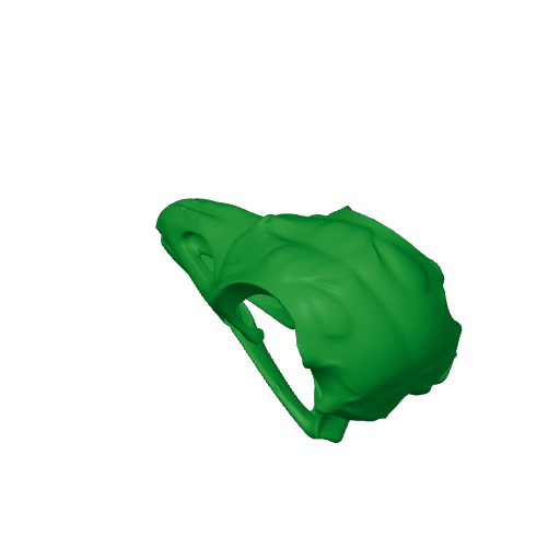 Resplendent Quetzal Skull.3mf