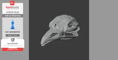 Resplendent Quetzal Skull - Skull Replica STL