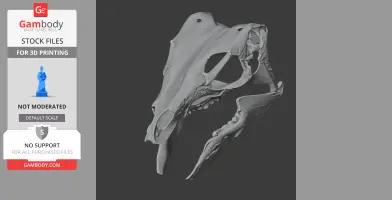 3D model of a Rhabdodon dinosaur skull, designed for 3D printing with detailed bone structure.