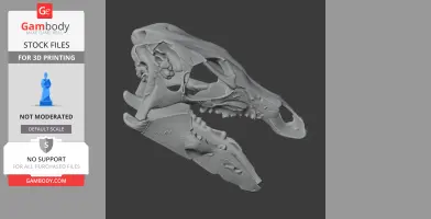 3D model of a Rhabdodon dinosaur skull, showcasing detailed bone structure for printing.