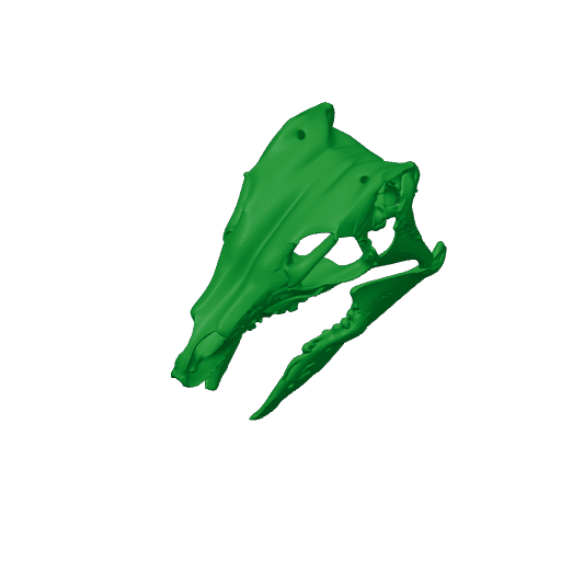Rhabdodon Skull.3mf