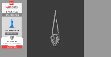 3D model of a Rhamphorhynchus skull replica for printing, viewed from above.