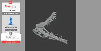 Rhamphorhynchus 3D skull model with detailed teeth for 3D printing.