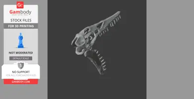 A 3D model of a Rhamphorhynchus skull viewed from the side, showing detailed teeth and bone structures.