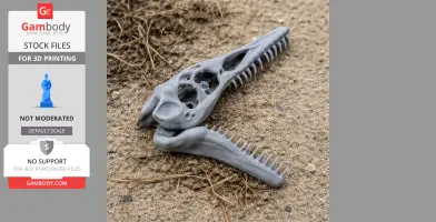 A 3D-printed Rhamphorhynchus skull replica resting on sandy ground, showing detailed teeth and openings.