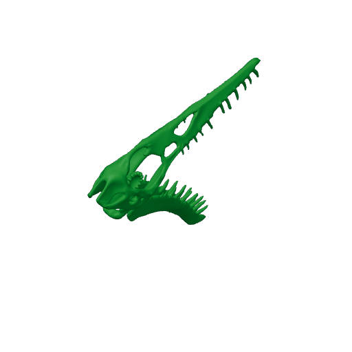Rhamphorhynchus Skull.3mf