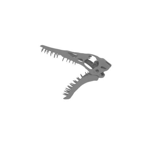Rhamphorhynchus Skull.stl