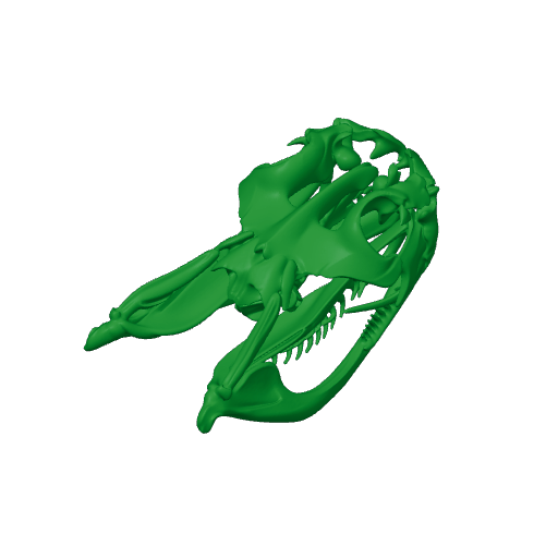 Rhinoceros Viper Skull.3mf