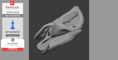3D-printed Rhinorex skull replica, showcasing detailed bone structure on a dark background.