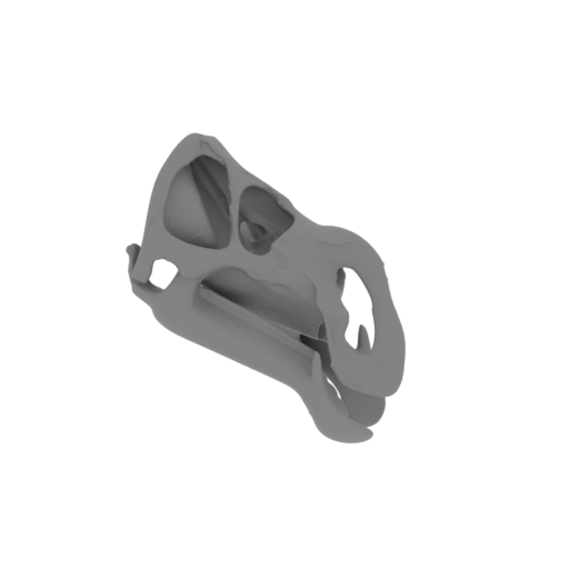 Rhinorex Skull.stl