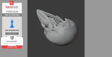 3D model of a detailed riflebird skull replica for printing on a dark background.
