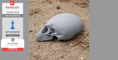 3D printed riflebird skull replica resting on sandy ground.