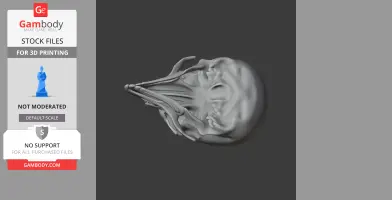 3D model of a riflebird skull, showcasing intricate bone structures for detailed printing.