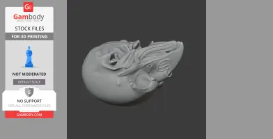 Intricately detailed 3D model of a riflebird skull for printing, showing bone structure and texture.