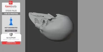A detailed 3D model of a riflebird skull, designed for 3D printing.