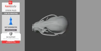 3D model of a Rinchenia dinosaur skull, shown from a top view on a dark background.