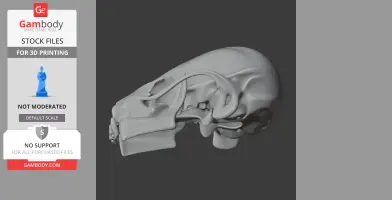3D model of a Rinchenia dinosaur skull, featuring detailed bone structure for printing.