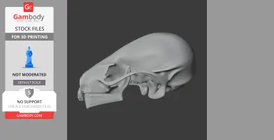 3D model of a Rinchenia dinosaur skull, designed for 3D printing, side view.