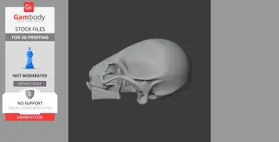 A detailed 3D model of a Rinchenia dinosaur skull for printing, displayed in a side profile.