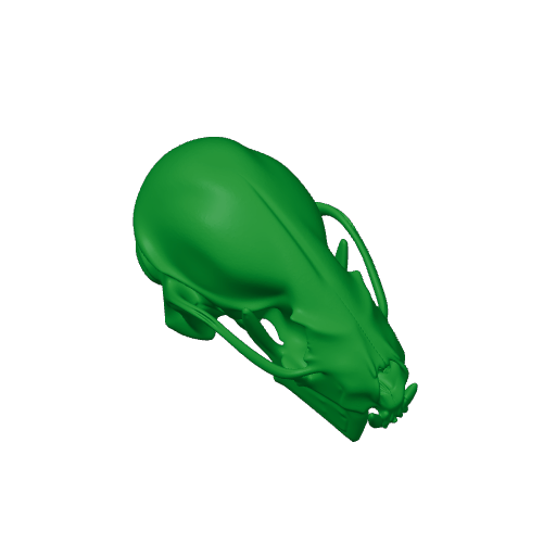 Rinchenia Skull.3mf