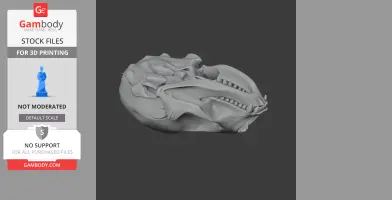 3D model of a ringed seal skull, showing detailed bone structure for 3D printing.