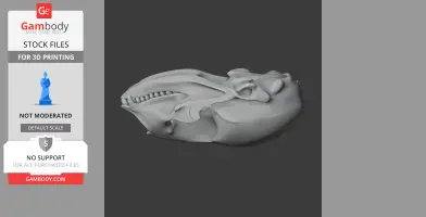 A 3D model of a ringed seal skull, showcasing detailed features and teeth, for 3D printing.