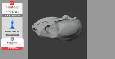 3D model of a ringed seal skull displayed on a dark background for 3D printing.
