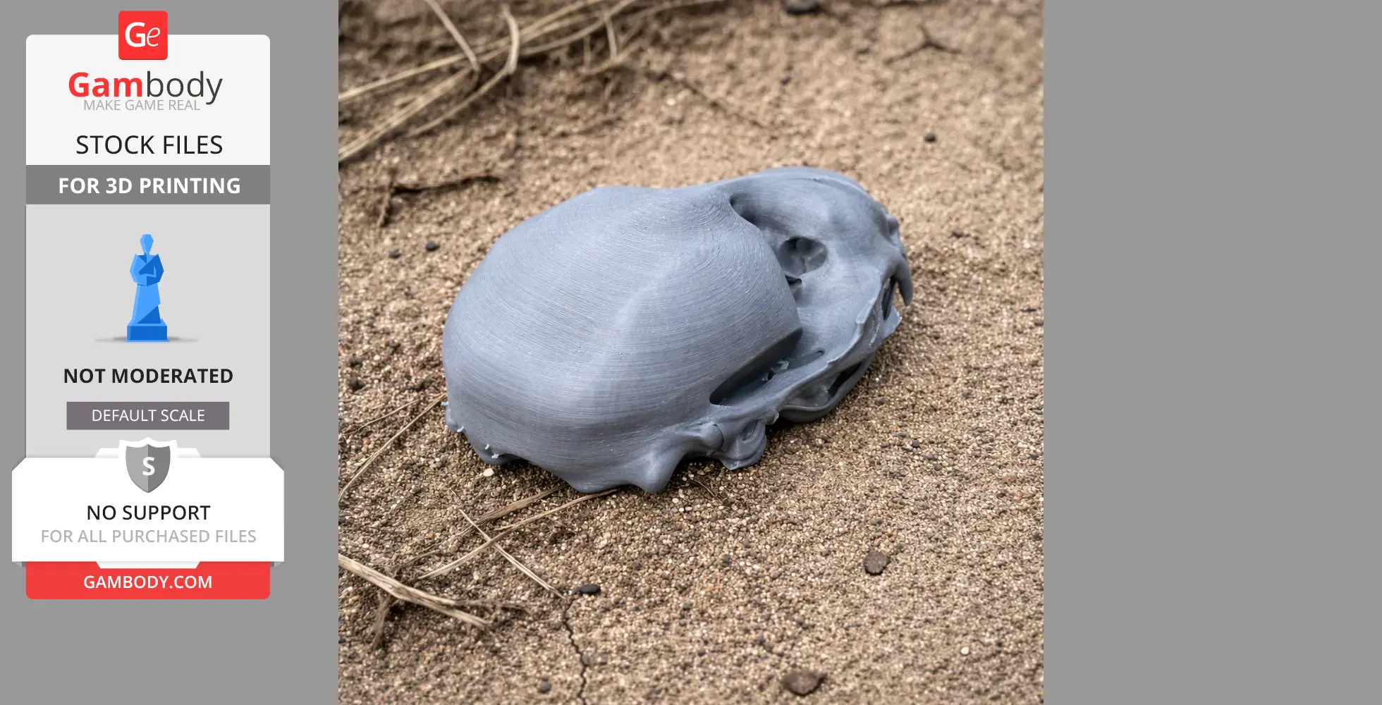A 3D-printed ringed seal skull replica resting on sand.