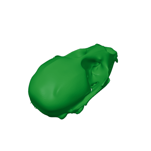 Ringed Seal Skull.3mf