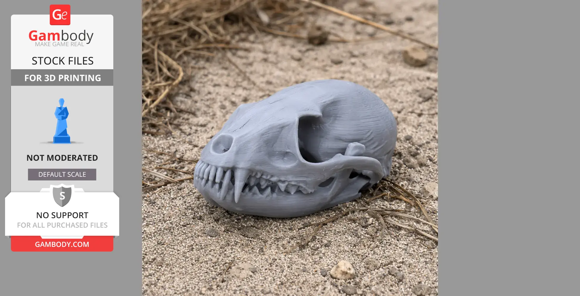 A 3D-printed gray ringtail skull replica resting on sandy ground.