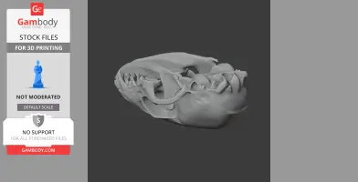 3D model of a detailed ringtail skull, side view, designed for 3D printing.