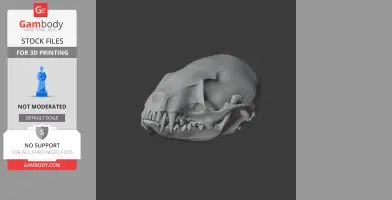 Gray 3D model of a ringtail skull, showcasing detailed teeth and bone structure on a dark background.