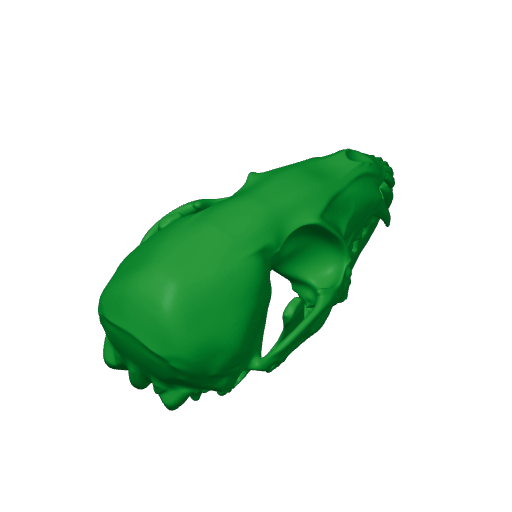 Ringtail Skull.3mf