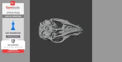 3D model of a ringtail skull, detailed and ready for 3D printing, displayed on a dark background.