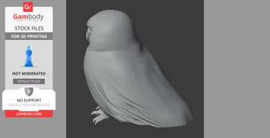 3D model of an Australian boobook owl, suitable for 3D printing, showing detailed feathers and perched stance.