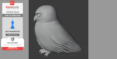 3D model of an Australian boobook owl with detailed feathers, designed for 3D printing.