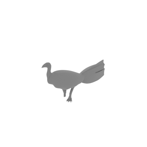 Australian brushturkey.stl
