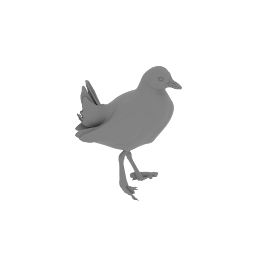 Australian crake.3mf